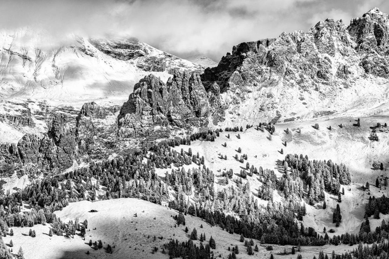 Hatzeshof Alpenglueck 라이온 외부 사진