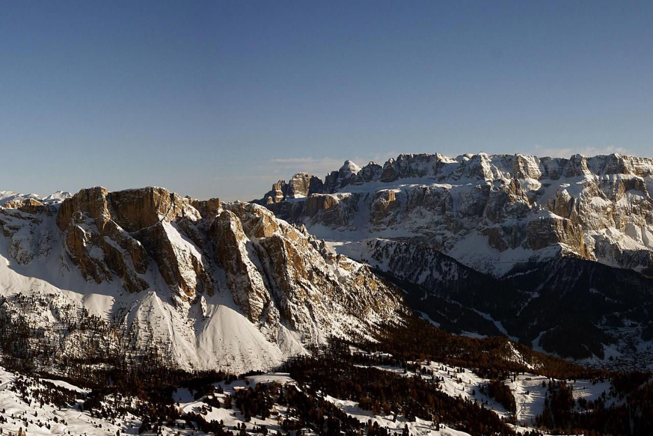 Hatzeshof Alpenglueck 라이온 외부 사진